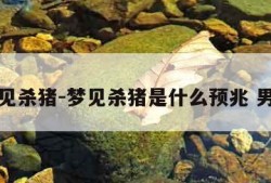 梦见杀猪-梦见杀猪是什么预兆 男性