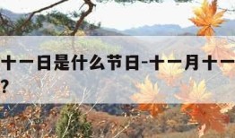 十一月十一日是什么节日-十一月十一日是什么日子?