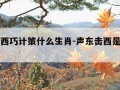 声东击西巧计策什么生肖-声东击西是哪个生肖