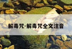 解毒咒-解毒咒全文注音