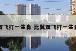 比翼双飞打一生肖-比翼双飞打一生肖是兔