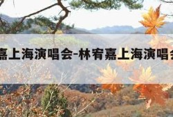 林宥嘉上海演唱会-林宥嘉上海演唱会2017
