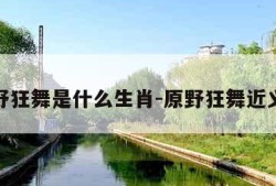 原野狂舞是什么生肖-原野狂舞近义词