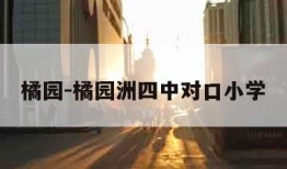 橘园-橘园洲四中对口小学