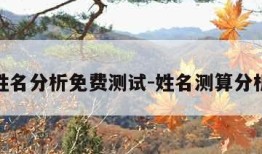 姓名分析免费测试-姓名测算分析
