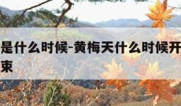 黄梅天是什么时候-黄梅天什么时候开始什么时候结束
