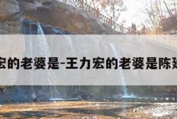 王力宏的老婆是-王力宏的老婆是陈建州吗
