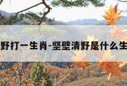坚壁清野打一生肖-坚壁清野是什么生肖动物