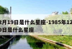 12月19日是什么星座-1985年12月19日是什么星座