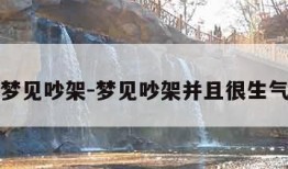 梦见吵架-梦见吵架并且很生气