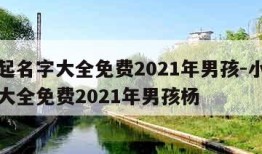 小孩起名字大全免费2021年男孩-小孩起名字大全免费2021年男孩杨