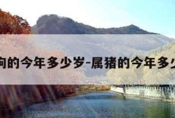 属狗的今年多少岁-属猪的今年多少岁