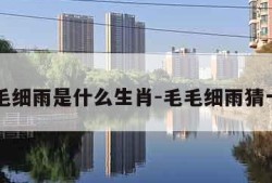 毛毛细雨是什么生肖-毛毛细雨猜一肖