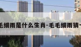 毛毛细雨是什么生肖-毛毛细雨猜一肖