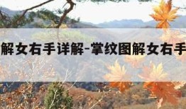 掌纹图解女右手详解-掌纹图解女右手详解子女线