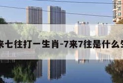 七来七往打一生肖-7来7往是什么生肖