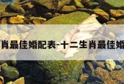 十二生肖最佳婚配表-十二生肖最佳婚配表虎