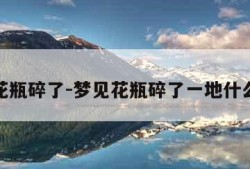 梦见花瓶碎了-梦见花瓶碎了一地什么预兆