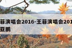王菲演唱会2016-王菲演唱会2016 李亚鹏