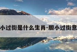 胆小过街是什么生肖-胆小过街意思
