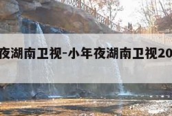 小年夜湖南卫视-小年夜湖南卫视2024节目单
