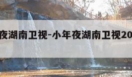 小年夜湖南卫视-小年夜湖南卫视2024节目单