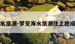 梦见海水涨潮-梦见海水涨潮往上跑成功逃生
