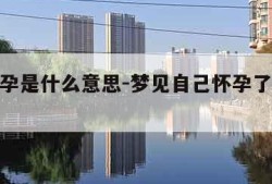 梦见怀孕是什么意思-梦见自己怀孕了是啥预兆