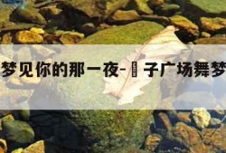 广场舞梦见你的那一夜-応子广场舞梦见你的那一夜