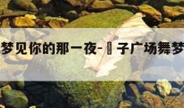 广场舞梦见你的那一夜-応子广场舞梦见你的那一夜