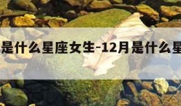 12月是什么星座女生-12月是什么星座的女生