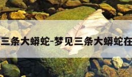 梦见三条大蟒蛇-梦见三条大蟒蛇在水里