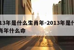 2013年是什么生肖年-2013年是什么生肖年什么命