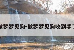 做梦梦见狗-做梦梦见狗咬到手了