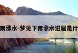 梦见下雨涨水-梦见下雨涨水进屋是什么意思