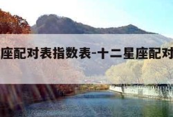 十二星座配对表指数表-十二星座配对指数是多少