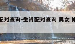 生肖配对查询-生肖配对查询 男女 婚姻鼠和虎
