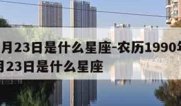 12月23日是什么星座-农历1990年12月23日是什么星座