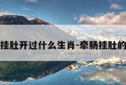 牵肠挂肚开过什么生肖-牵肠挂肚的本意