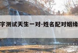 输入名字测试天生一对-姓名配对姻缘测试天生一对
