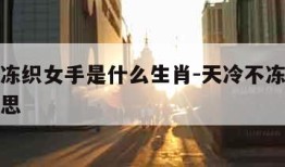 天冷不冻织女手是什么生肖-天冷不冻织女手什么意思