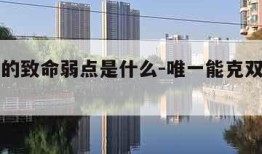 双子座的致命弱点是什么-唯一能克双子的星座