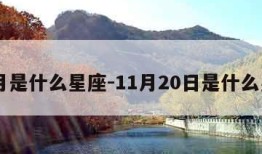 11月是什么星座-11月20日是什么星座