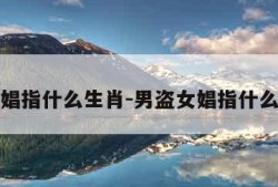 男盗女娼指什么生肖-男盗女娼指什么生肖呢
