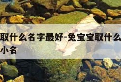兔宝宝取什么名字最好-兔宝宝取什么名字最好男孩小名