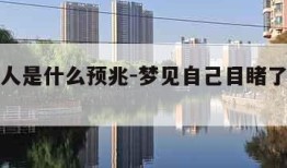 梦见杀人是什么预兆-梦见自己目睹了别人行凶