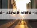 水瓶座命中注定的夫妻-水瓶座命中注定的夫妻关系