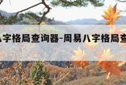 周易八字格局查询器-周易八字格局查询器app