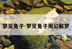梦见兔子-梦见兔子周公解梦