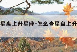 怎么查星盘上升星座-怎么查星盘上升星座查询